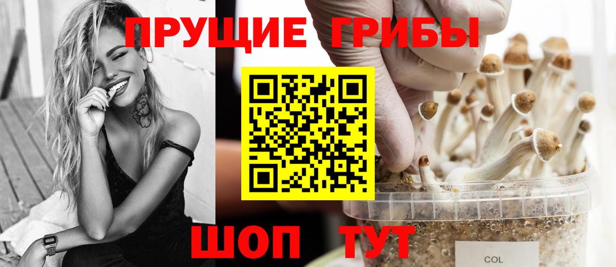 Псилоцибиновые грибы мухоморы  Вход с VPN  Татарск  Псилоцибиновые грибы Cubensis 