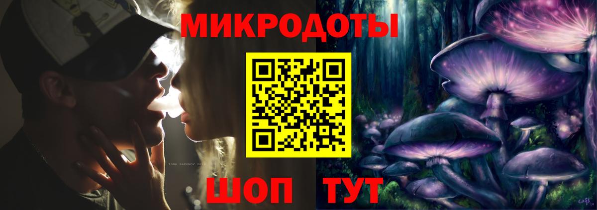 Псилоцибиновые грибы Psilocybine cubensis Татарск